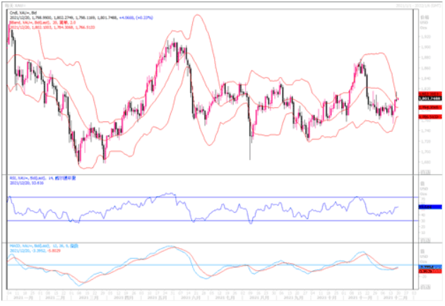 黄金市场分析：不惧央行"鹰"态 黄金反弹以对
