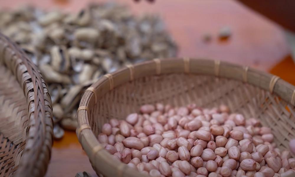 油厂收购积极，产区价格持续偏强