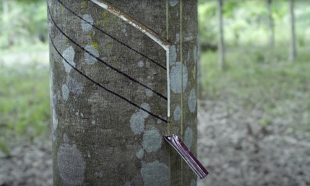 金融期货、能源化工期货及焦煤钢矿系期货日评